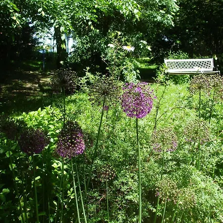 Quaint Holiday In With Garden Holiday home Pionsat