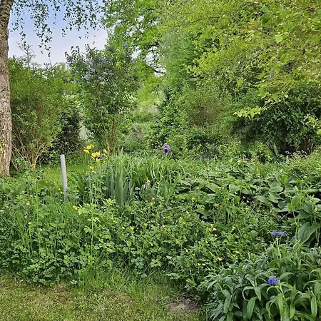 Quaint In With Garden *