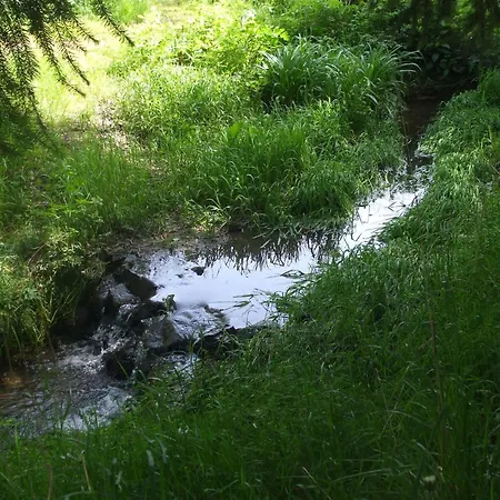 In Tatil Evi Pionsat